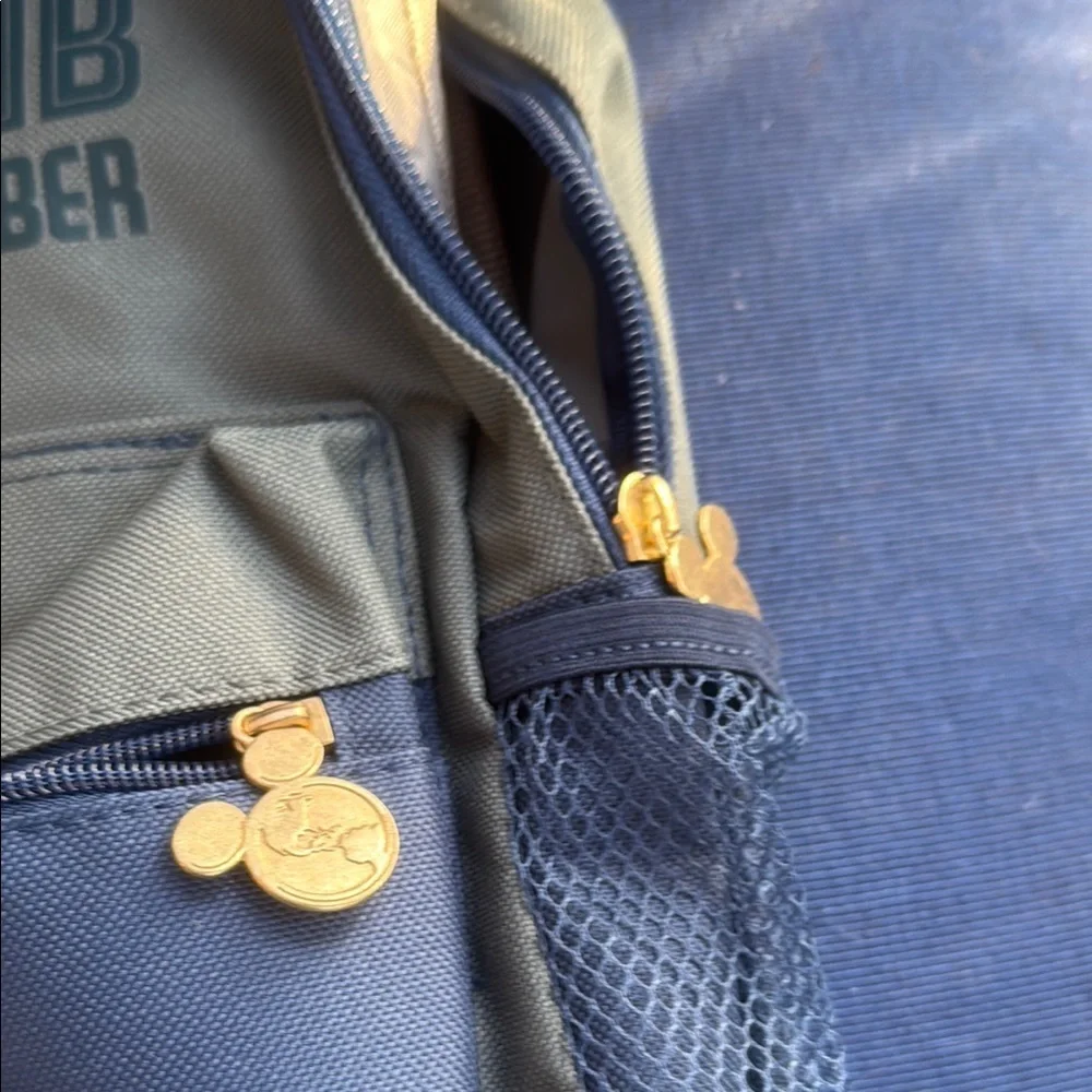Disney this backpack